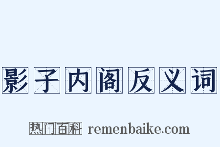 影子内阁反义词是什么意思的图片